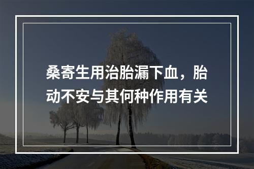 桑寄生用治胎漏下血，胎动不安与其何种作用有关