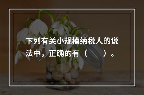 下列有关小规模纳税人的说法中，正确的有（　　）。