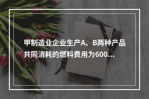 甲制造业企业生产A、B两种产品共同消耗的燃料费用为6000元