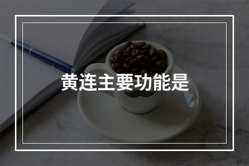 黄连主要功能是