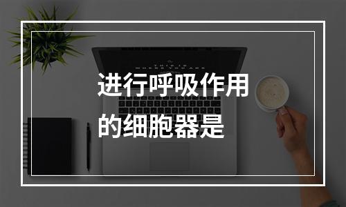 进行呼吸作用的细胞器是