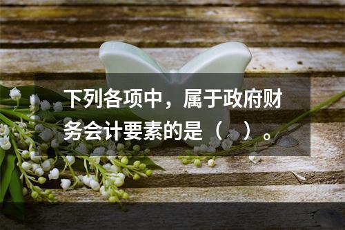 下列各项中，属于政府财务会计要素的是（　）。