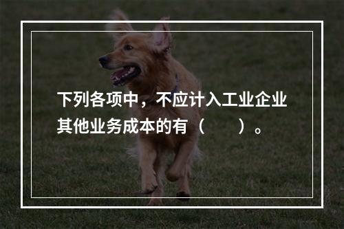 下列各项中，不应计入工业企业其他业务成本的有（　　）。