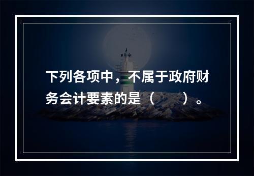 下列各项中，不属于政府财务会计要素的是（　　）。