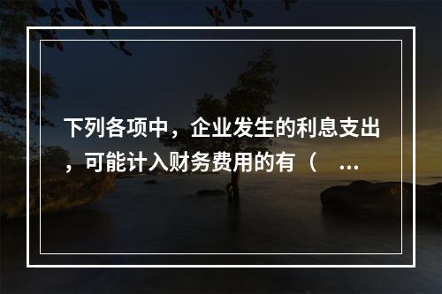 下列各项中，企业发生的利息支出，可能计入财务费用的有（　）。