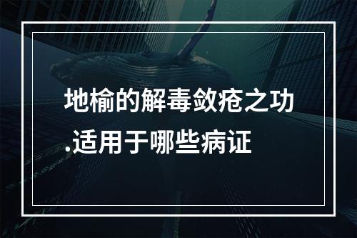 地榆的解毒敛疮之功.适用于哪些病证