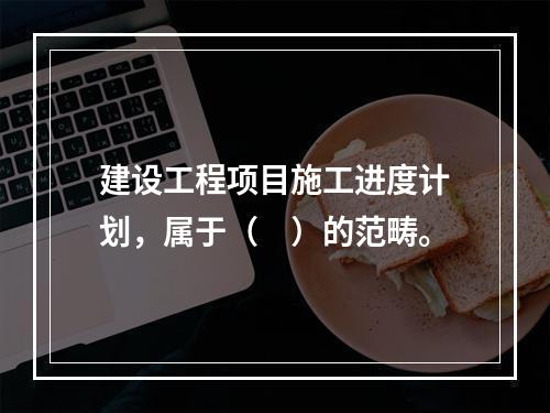 建设工程项目施工进度计划，属于（　）的范畴。