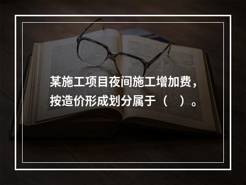 某施工项目夜间施工增加费，按造价形成划分属于（　）。