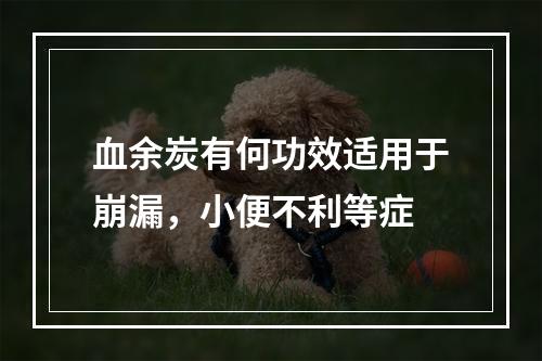 血余炭有何功效适用于崩漏，小便不利等症