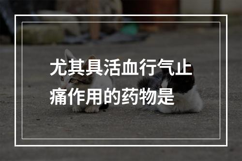 尤其具活血行气止痛作用的药物是