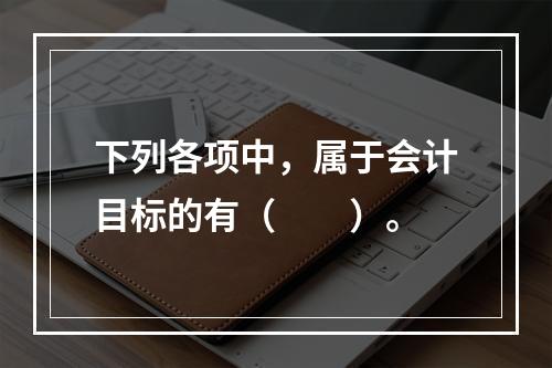 下列各项中，属于会计目标的有（　　）。