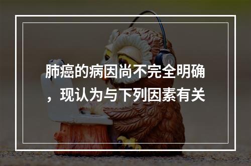 肺癌的病因尚不完全明确，现认为与下列因素有关