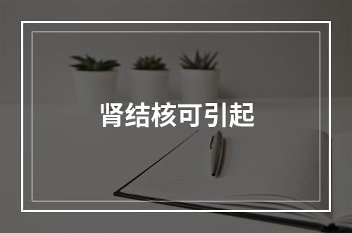 肾结核可引起