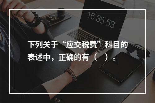 下列关于“应交税费”科目的表述中，正确的有（　）。