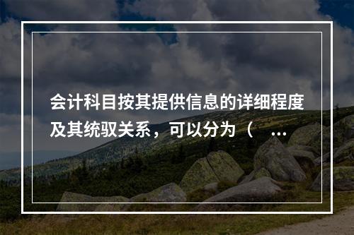 会计科目按其提供信息的详细程度及其统驭关系，可以分为（　　）