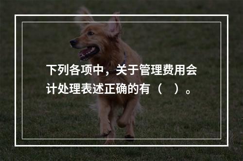 下列各项中，关于管理费用会计处理表述正确的有（　）。