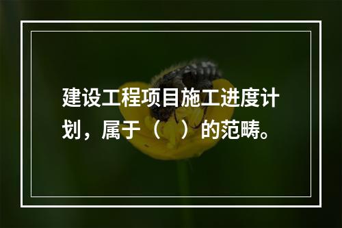 建设工程项目施工进度计划，属于（　）的范畴。