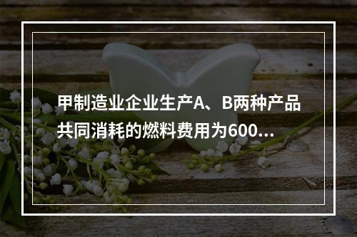 甲制造业企业生产A、B两种产品共同消耗的燃料费用为6000元