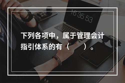 下列各项中，属于管理会计指引体系的有（　　）。