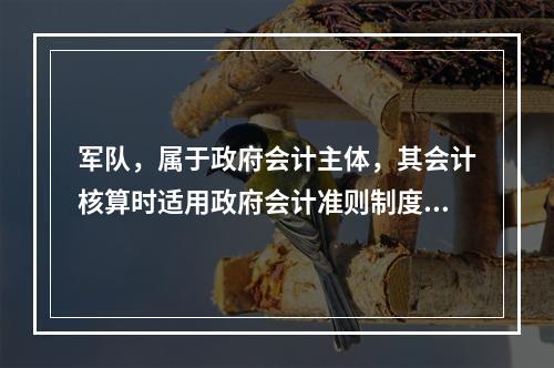 军队，属于政府会计主体，其会计核算时适用政府会计准则制度。（