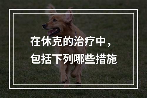 在休克的治疗中，包括下列哪些措施