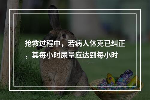 抢救过程中，若病人休克已纠正，其每小时尿量应达到每小时