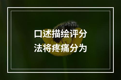 口述描绘评分法将疼痛分为