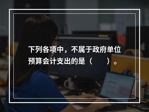 下列各项中，不属于政府单位预算会计支出的是（　　）。