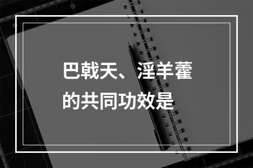 巴戟天、淫羊藿的共同功效是