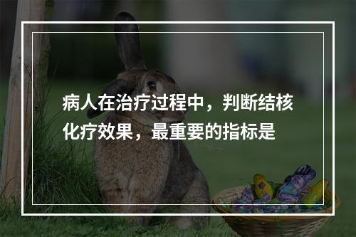 病人在治疗过程中，判断结核化疗效果，最重要的指标是