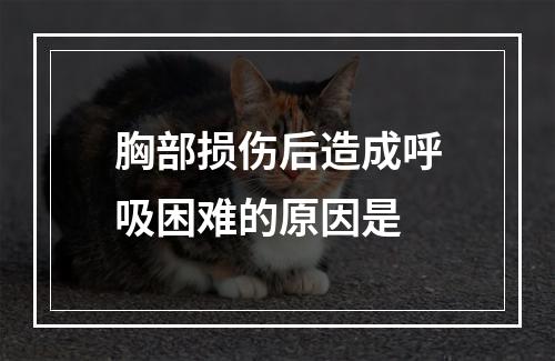 胸部损伤后造成呼吸困难的原因是