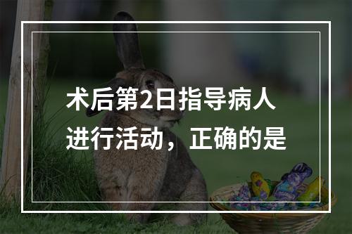 术后第2日指导病人进行活动，正确的是