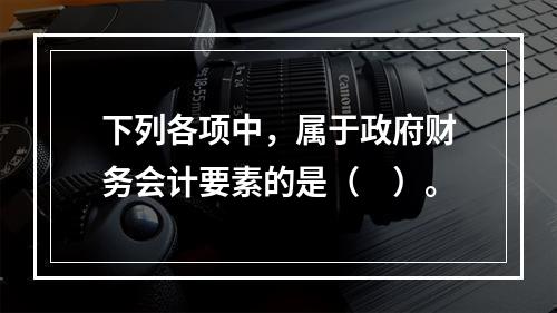 下列各项中，属于政府财务会计要素的是（　）。