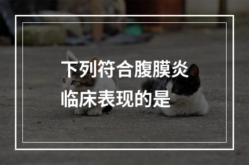 下列符合腹膜炎临床表现的是