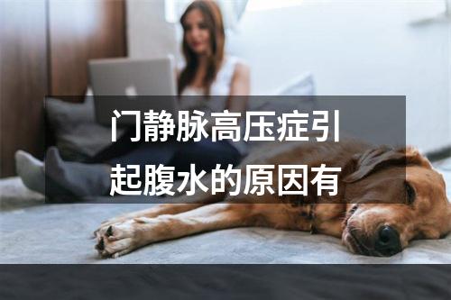 门静脉高压症引起腹水的原因有