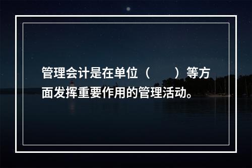 管理会计是在单位（　　）等方面发挥重要作用的管理活动。