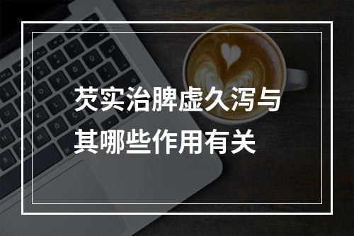 芡实治脾虚久泻与其哪些作用有关