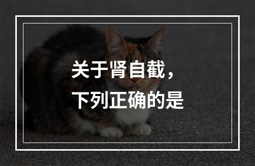 关于肾自截，下列正确的是