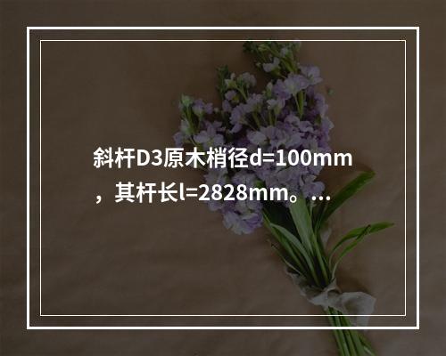 斜杆D3原木梢径d=100mm，其杆长l=2828mm。D3