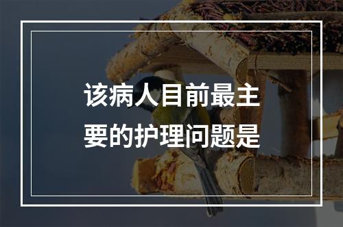 该病人目前最主要的护理问题是