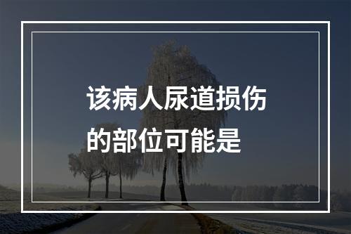 该病人尿道损伤的部位可能是