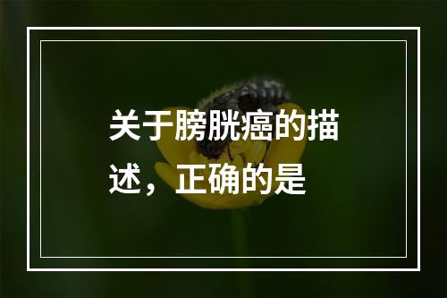 关于膀胱癌的描述，正确的是