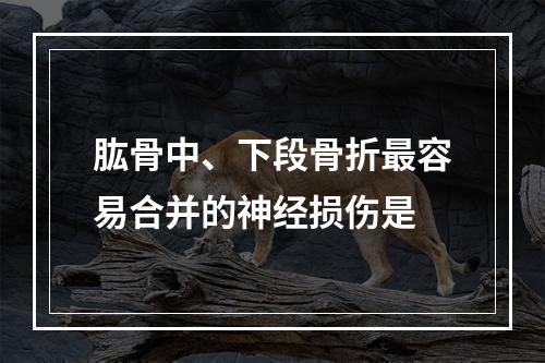 肱骨中、下段骨折最容易合并的神经损伤是