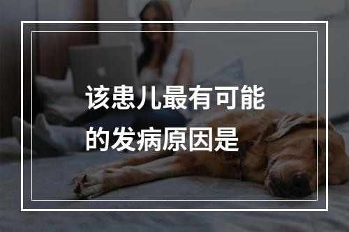 该患儿最有可能的发病原因是