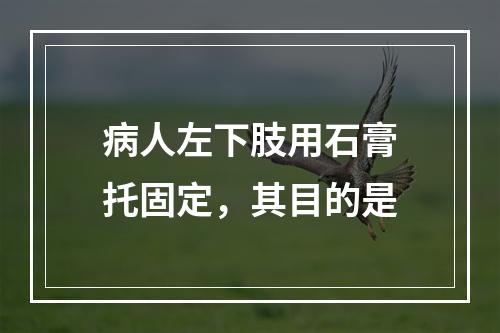 病人左下肢用石膏托固定，其目的是