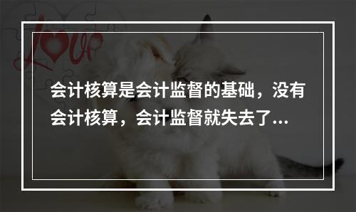 会计核算是会计监督的基础，没有会计核算，会计监督就失去了依据