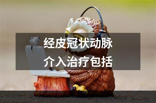 经皮冠状动脉介入治疗包括