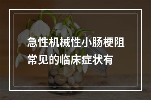 急性机械性小肠梗阻常见的临床症状有