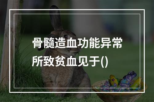 骨髓造血功能异常所致贫血见于()