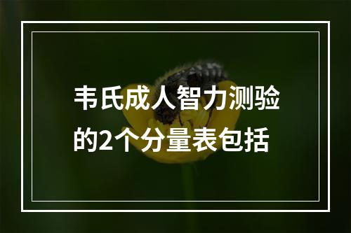 韦氏成人智力测验的2个分量表包括